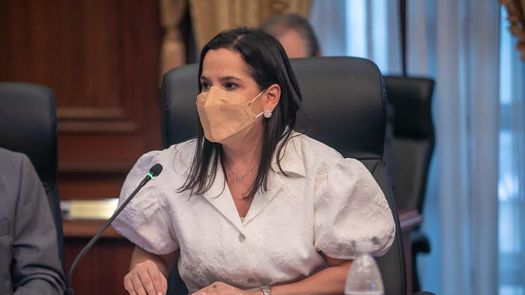 Consejo de Gabinete autorizó presentar proyecto Ley Plan Colmena ante la Asamblea