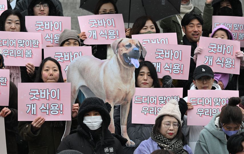 Corea del Sur prohíbe el comercio de carne de perro
