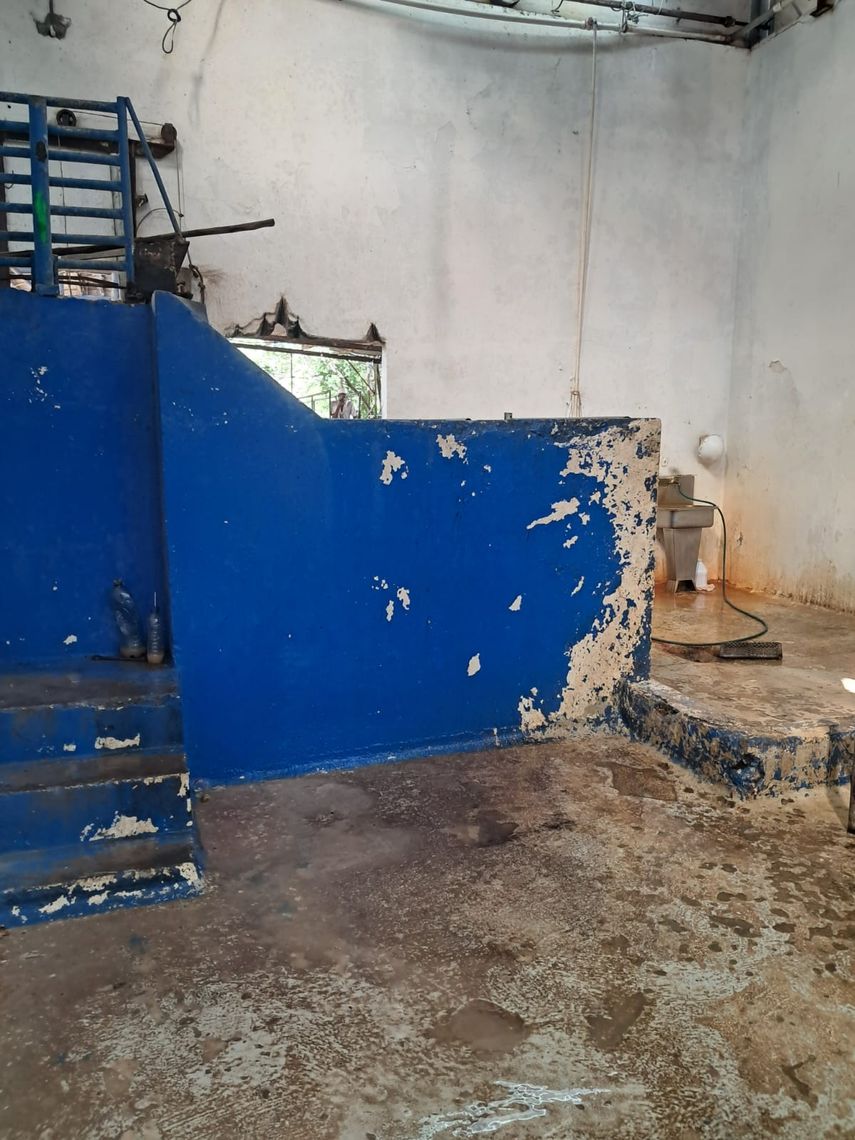 Minsa ordena cierre temporal del matadero municipal de Colón