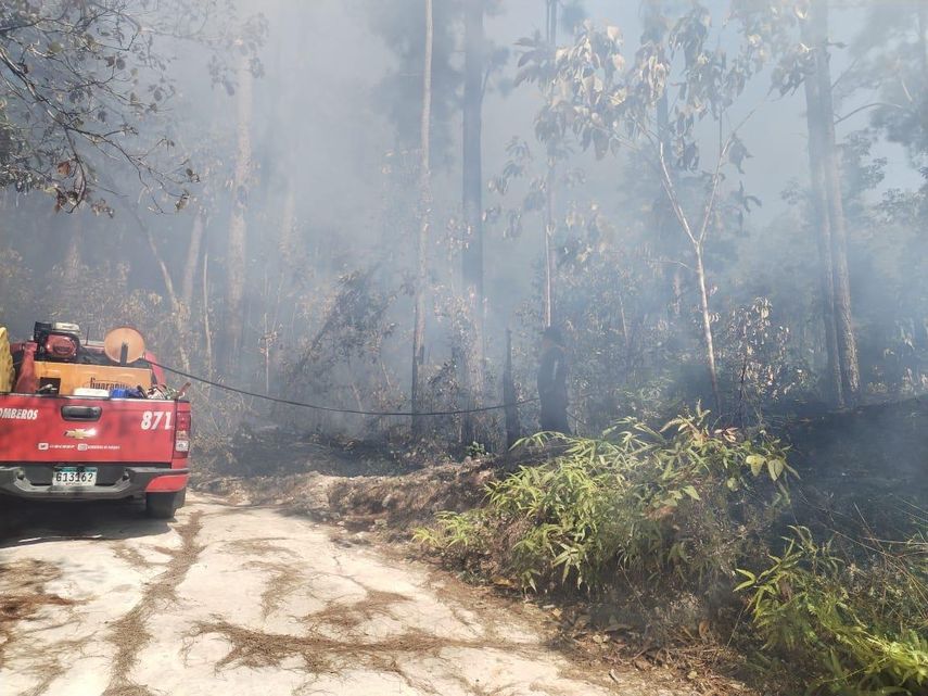 Los bomberos han sido apoyados por miembros del Senan en las labores de extinción del incendio.