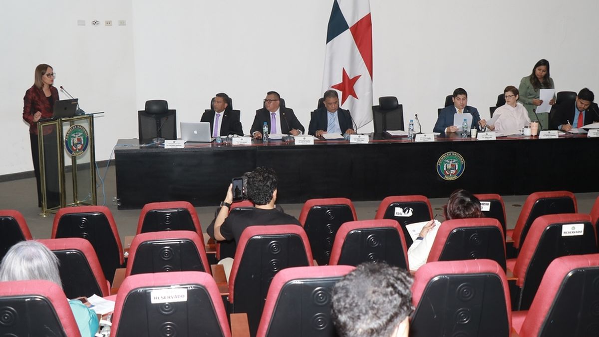 La Comisión de Educación no prohijó el proyecto de ley. La Comisión de Educación no prohijó el proyecto de ley.