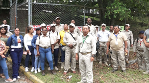 Trabajadores de control de vectores levantan paro
