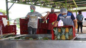 Sector agropecuario sigue creciendo pese a la pandemia por la covid-19