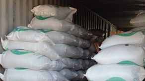 Unos 480 quintales de café de alta calidad se dio con una exportación entre la Asociación de Productores de Renacimiento (APRE) y la empresa privada.