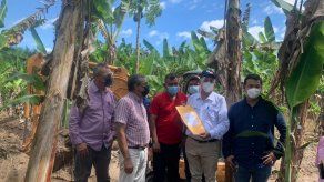 Gobierno destinó más de 400 mil dólares para apoyo a productores de plátano