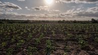 el nino se intensificara hasta alcanzar su maximo en diciembre, alerta la onu el nino se intensificara hasta alcanzar su maximo en diciembre, alerta la onu