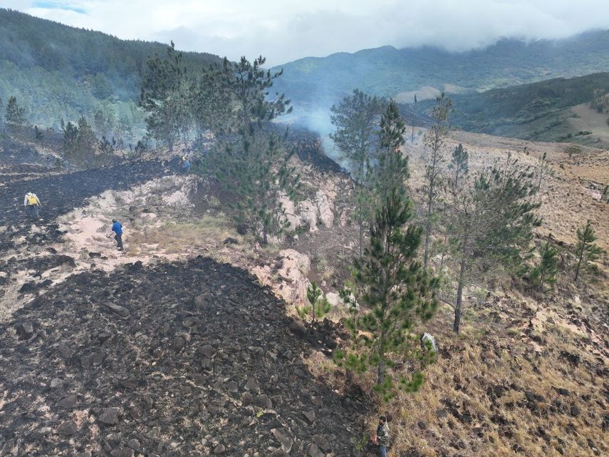 Los incendios de masa vegetal (IMAVE) son uno de los problemas que más daño causan en época de verano, agravadas por las consecuencias del cambio climático.