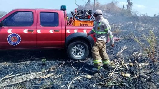 Bomberos atiende más 2 mil casos de incendios de masa vegetal en Panamá