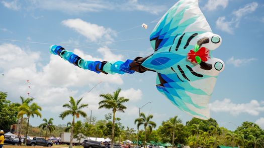 Festival de Cometas y Panderos 2026 de realizó en La Chorrera. Festival de Cometas y Panderos 2026 de realizó en La Chorrera.