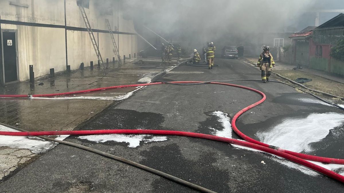El incendio se reportó el pasado miércoles en horas de la tarde. El incendio se reportó el pasado miércoles en horas de la tarde.