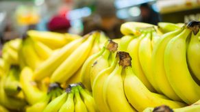 Exportaciones panameñas crecieron en 2024