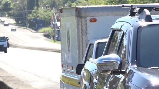 Autoridades piden precaución para evitar muertes por atropello