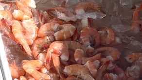 Para estas fechas también mueve la economía en torno a los sitios como Pedregal, Alanje, Remedios y San Félix donde es común la venta de mariscos que son obtenidos en el golfo de Chiriquí.
