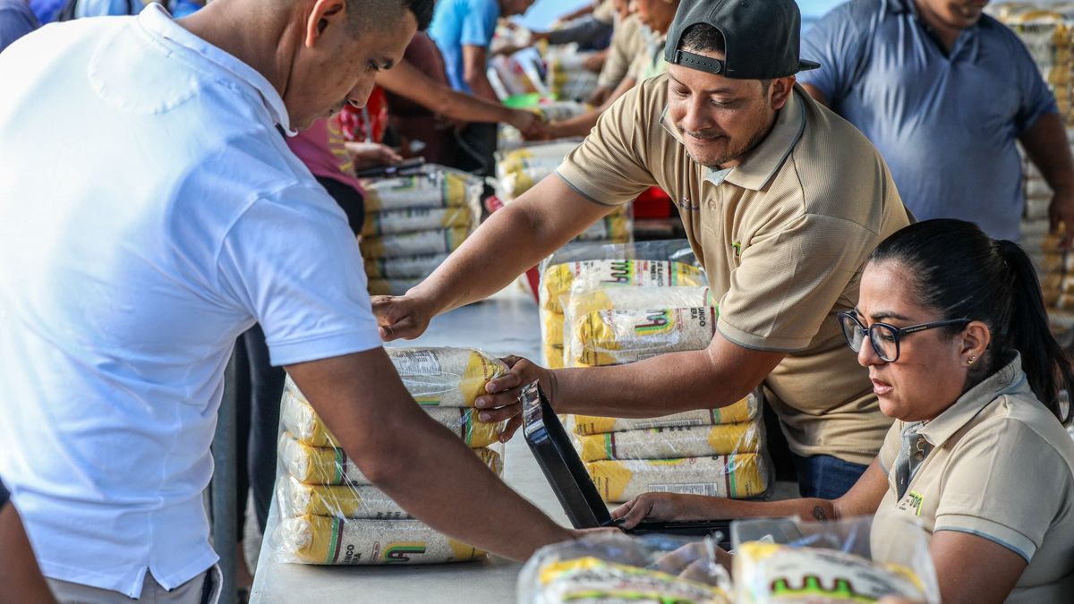 El Instituto de Mercadeo Agropecuario (IMA) anunció los horarios de atención y las tiendas que estarán abiertas al público en 2026 a través del programa Tienda del Pueblo, una iniciativa orientada a garantizar el acceso de la población a productos de la canasta básica a precios accesibles. El Instituto de Mercadeo Agropecuario (IMA) anunció los horarios de atención y las tiendas que estarán abiertas al público en 2026 a través del programa Tienda del Pueblo, una iniciativa orientada a garantizar el acceso de la población a productos de la canasta básica a precios accesibles.