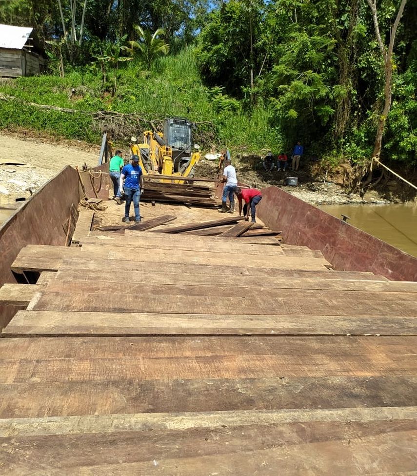 Darién: Retienen más de mil piezas de madera espavé