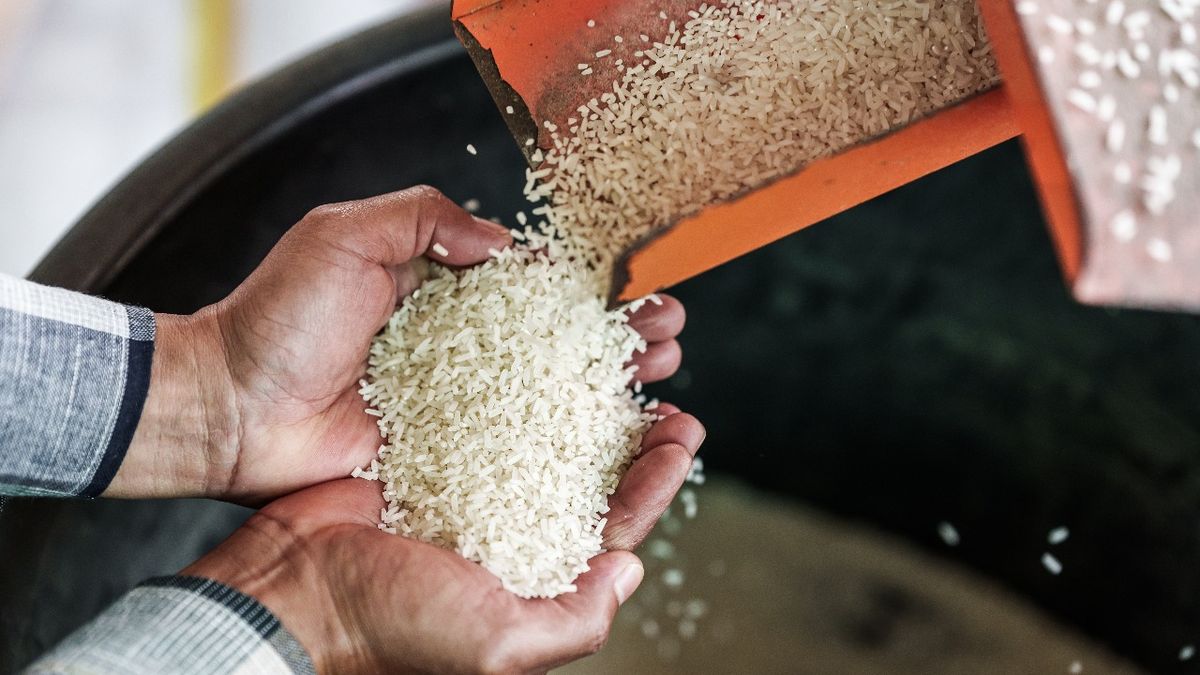 El arroz es el principal grano consumido en Panamá. El arroz es el principal grano consumido en Panamá.