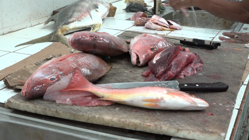 Pescadores afectados por costos de combustibles