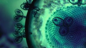 Panamá, primer país de Centroamérica y el Caribe con innovadora terapia para VIH.