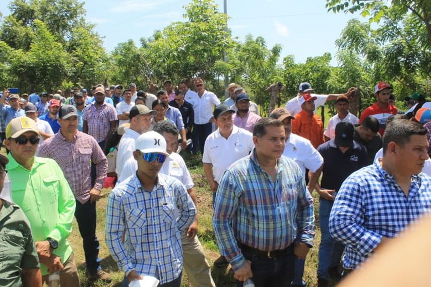 En este evento, organizado por el MIDA, se destacó que este de maíz es apta para el consumo humano, además se que tiene tolerancia a las variaciones climáticas. En este evento, organizado por el MIDA, se destacó que este de maíz es apta para el consumo humano, además se que tiene tolerancia a las variaciones climáticas.