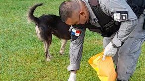 Encuentran paquete con supuesta sustancia ilícita en centro de menores