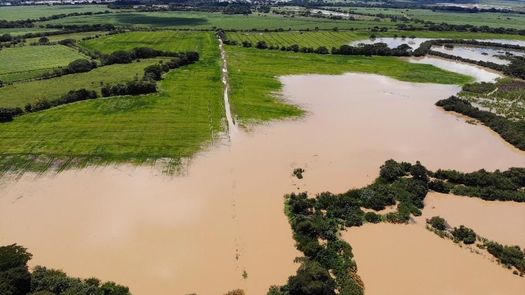 El ISA reitera a los productores nacionales la importancia de asegurar sus inversiones. El ISA reitera a los productores nacionales la importancia de asegurar sus inversiones.