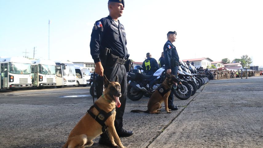 La Policía Nacional informó que durante este fin de semana de fiestas de Año Nuevo, se realizará inversión de carriles en la vía Panamericana, ante el traslado de miles de panameños hacia el interior del país. La Policía Nacional informó que durante este fin de semana de fiestas de Año Nuevo, se realizará inversión de carriles en la vía Panamericana, ante el traslado de miles de panameños hacia el interior del país. 
