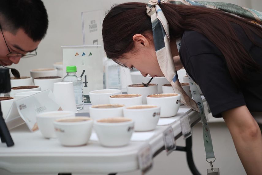 El geisha, el café de lujo de Panamá, impone un nuevo récord de precios en una subasta