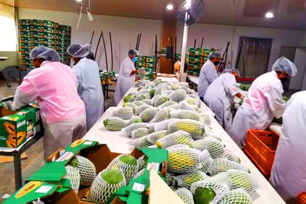 MICI anuncia primera exportación