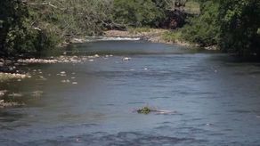 Funcionarios municipales que tienen que ver con el manejo ambiental en sus distritos se reunieron en Bugaba para unificar criterios y verificar la contaminación que existe en los ríos