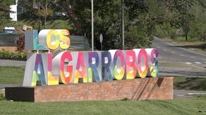 Una de las peticiones que ha realizado el grupo es que se concrete el proyecto de cámaras de videovigilancia para el distrito de Dolega, el cual debe ser aprobado por el gobierno central.&nbsp; 
