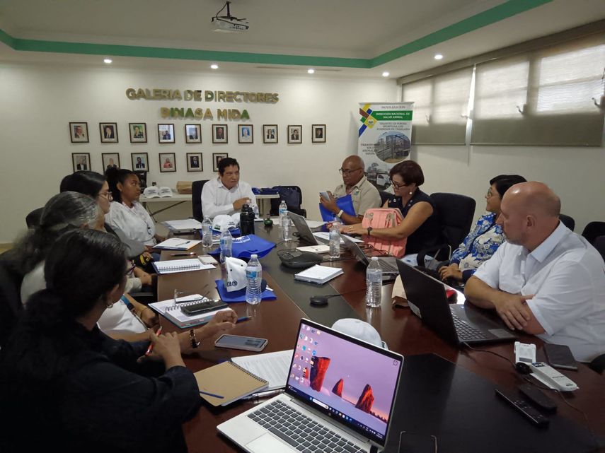 MIDA e IICA imparten curso de prevención y control del gusano barrenador