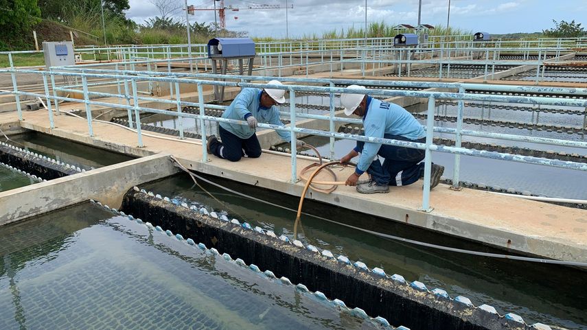 Idaan garantiza calidad del agua potable.
