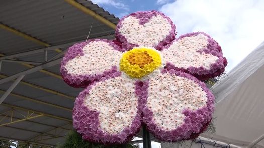 Comerciantes y residentes del distrito de Tierras Altas esperan que con la Parada de las Flores y la celebración del aniversario, ayuda a reactivar el turismo de la zona.