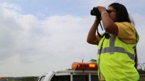 Nuevas rutas en Aeropuerto de Tocumen por aumento de gallinazos