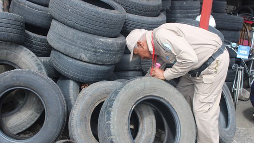 11,997 casos de dengue reportados son sin signos de alarma, destaca el MInsa. 11,997 casos de dengue reportados son sin signos de alarma, destaca el MInsa.