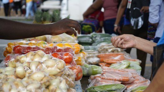 Panamá generará empleo informal en los siguientes dos años