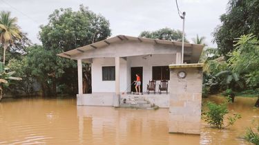 Fuerte temporal afecta suministro de agua y provoca daños en el occidente chiricano