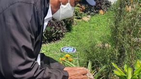 El jefedel Departamento de Control de Vectores del Minsa de Chiriquí reiteró su llamado a la ciudadanía a eliminar cualquier reservorio de agua bajo sombra.