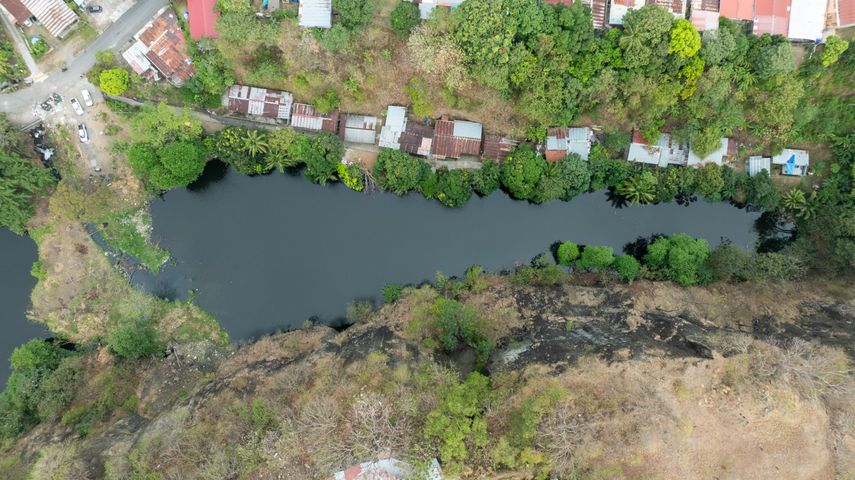 MiAmbiente decidió brindar acompañamiento técnico al comité comunitario.