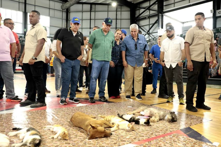 Parte de una infraestructura abandonada del Ministerio de Desarrollo Agropecuario (MIDA) está siendo recuperada para la creación de una nueva clínica de mascotas en la provincia de Chiriquí