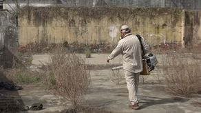 El MINSA busca sensibilizar a la población sobre el dengue, que en los últimos años ha ido ganando terreno en la provincia de Chiriquí.