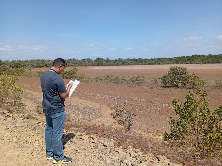 MiAmbiente investiga denuncia por presunta actividad de extracción de mangle. Foto: Cortesía.