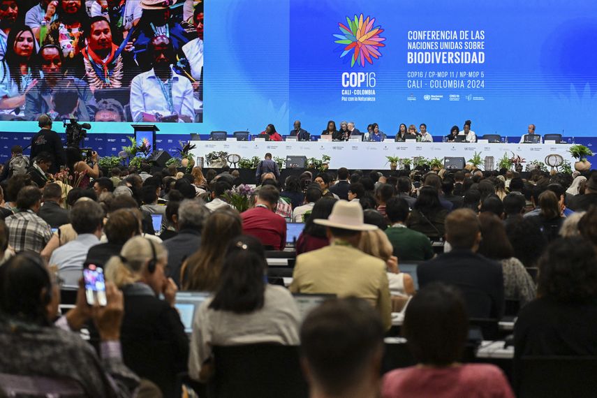 No perdamos tiempo: comienza en Colombia la COP16 para proteger biodiversidad