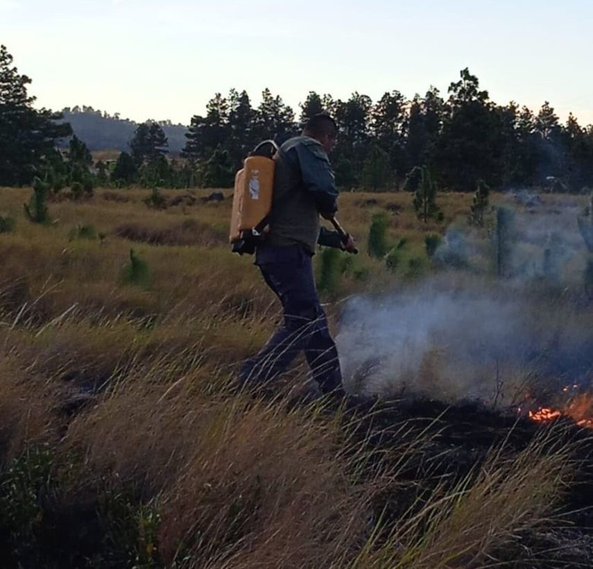 Los guardaparques de MiAmbiente en Paso Ancho en Tierras Altas sofocaron un incendio de masa vegetal