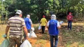 Gabinete aprueba incrementar el valor de las bolsas de comida del Plan Panamá Solidario