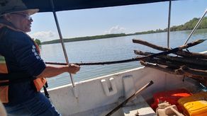 La pesca con estacas es un arte que no está permitido en la regulación vigente porque además afecta las labores de navegación, según indicó MiAmbiente.