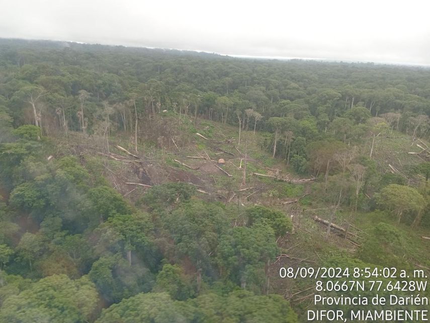 MiAmbiente suspende permisos forestales en comarcas Emberá Wounaan y Wargandí