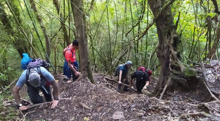 Para mejorar los senderos en el Parque Nacional Volcán Barú en Paso Ancho.,MiAmbiente continuará con la ejecución del proyecto Estudio, Diseño, Construcción y Rehabilitación con una empresa privada.
