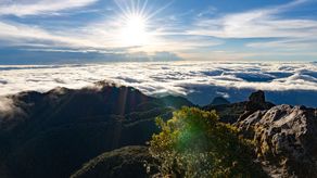 Parque Nacional Volcán Barú cumple 50 años de creación como destino ecológico único