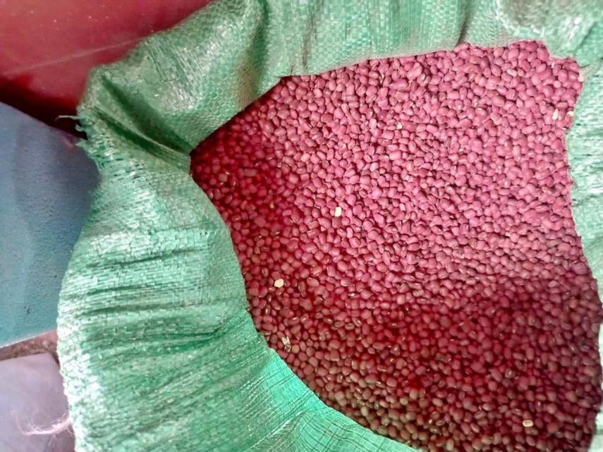 Los primeros quintales enviados por los productores de frijol fueron enviados a la regional del IMA de Chepo para ser empacados y puestos a la venta en las agroferias.